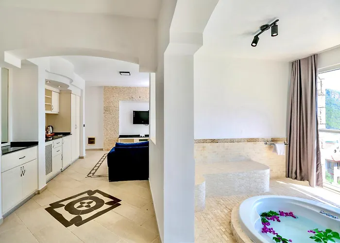 호텔 Tropical Suits 올루데니스