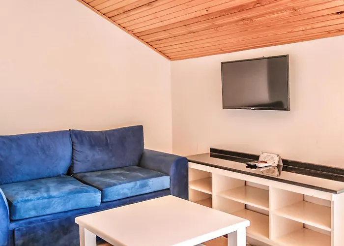 Tropical Suits * 올루데니스