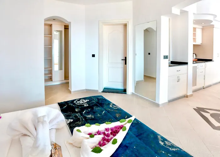 Tropical Suits * Ολουντενίζ