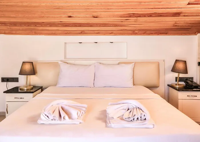 Tropical Suits Ολουντενίζ